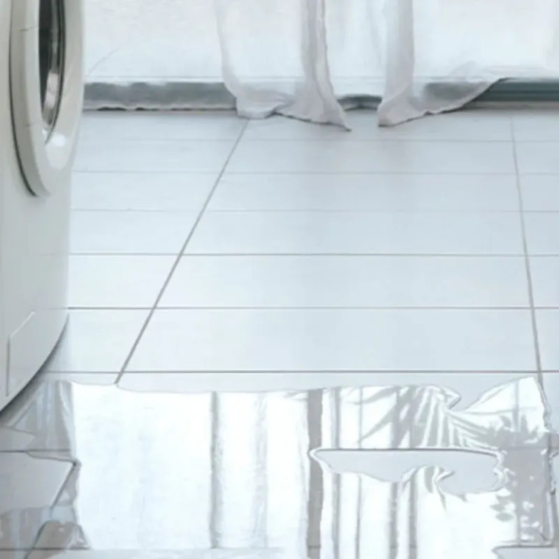 Appliance Leak Cleanup in Daleville, VA