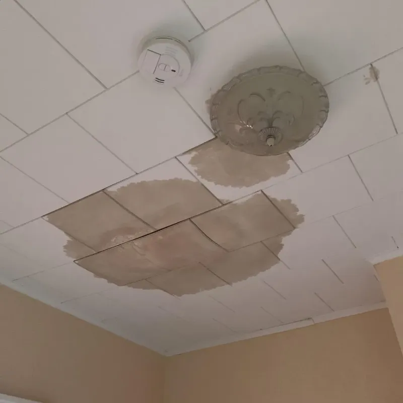 Ceiling Water Damage Repair in Daleville, VA