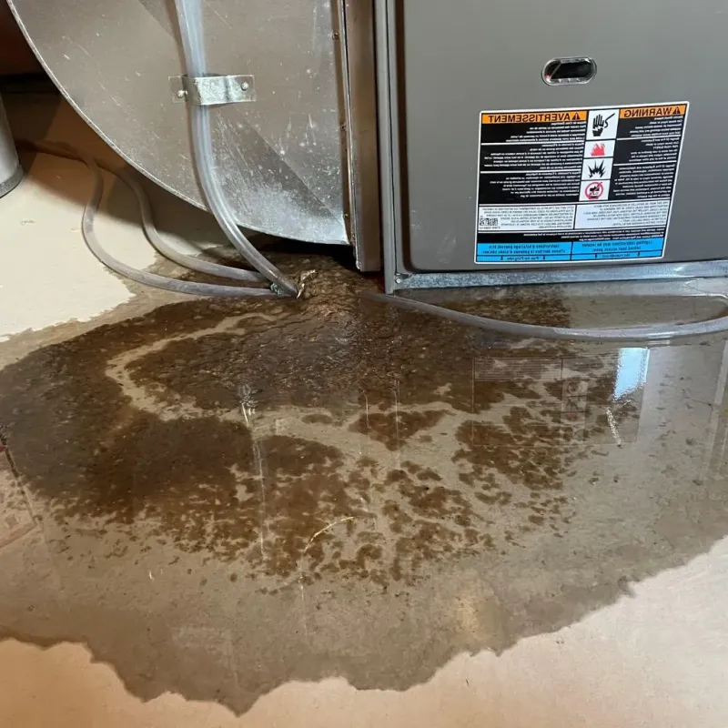 Pipe Burst and Leak Restoration in Daleville, VA
