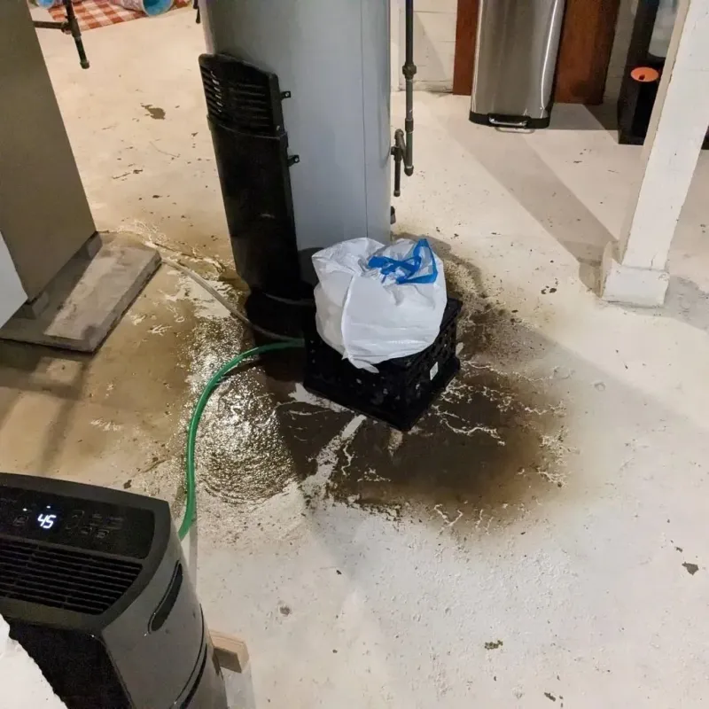 Sewage Backup Cleanup Service in Daleville, VA